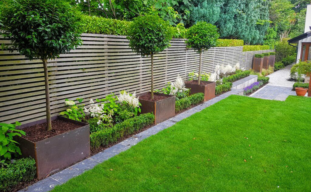 Repeat planting adds a contemporary feel in a garden