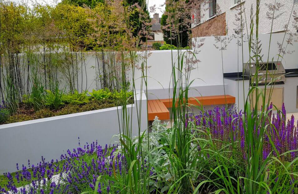 Tall grasses add height and visual interest in a garden landscape